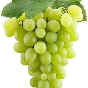 Green Grapes